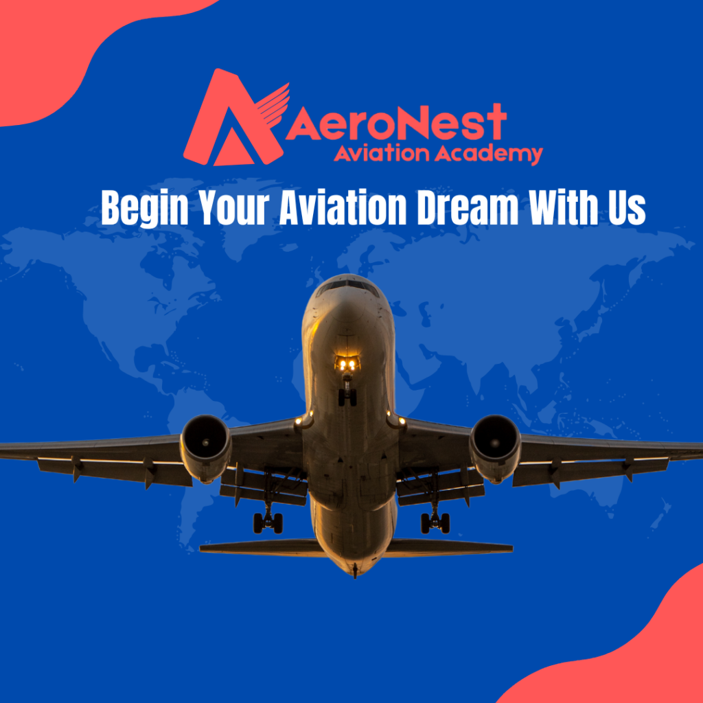 Aeronest